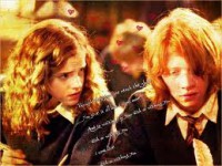 /album/fenykepalbum/images-63-jpg/